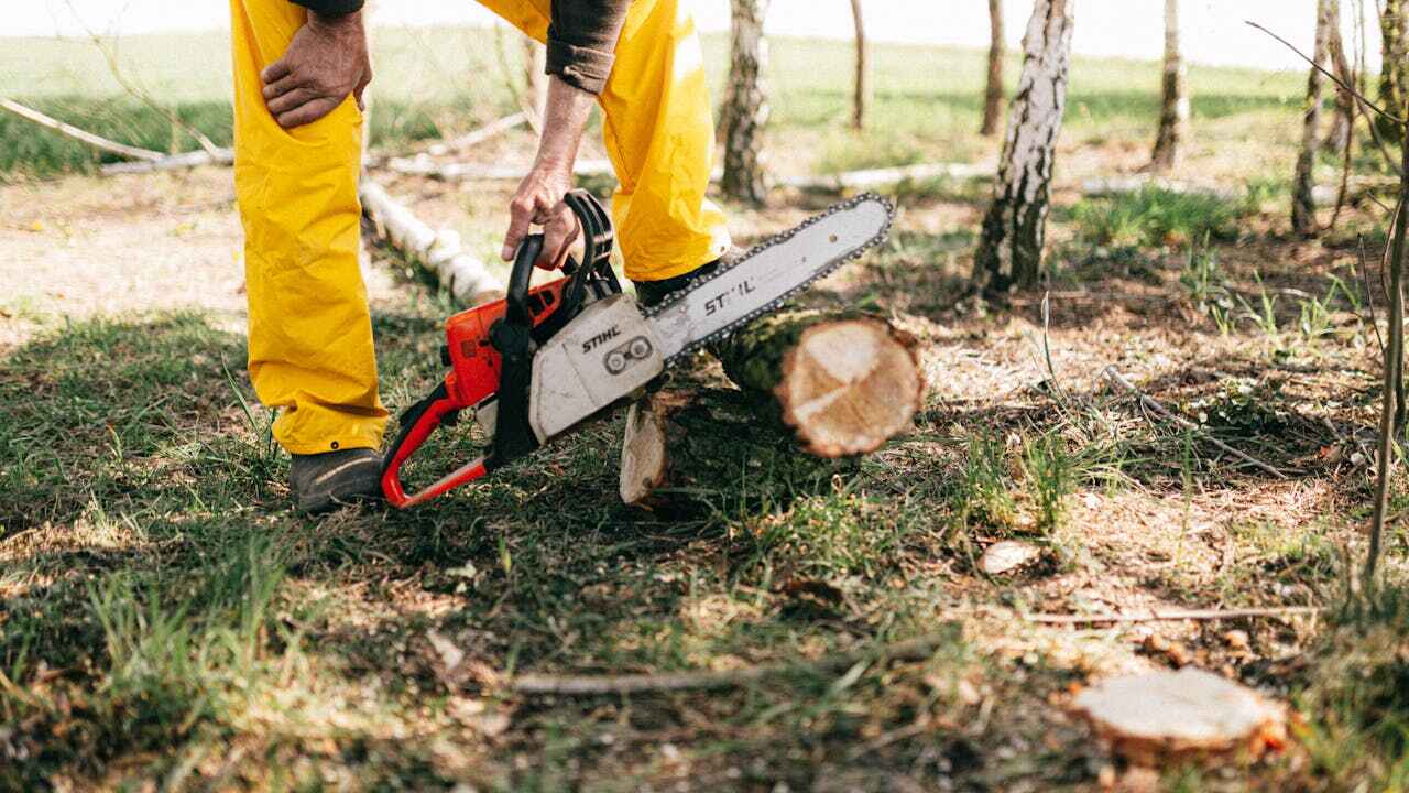 Fort Myers, FL Tree Service Company